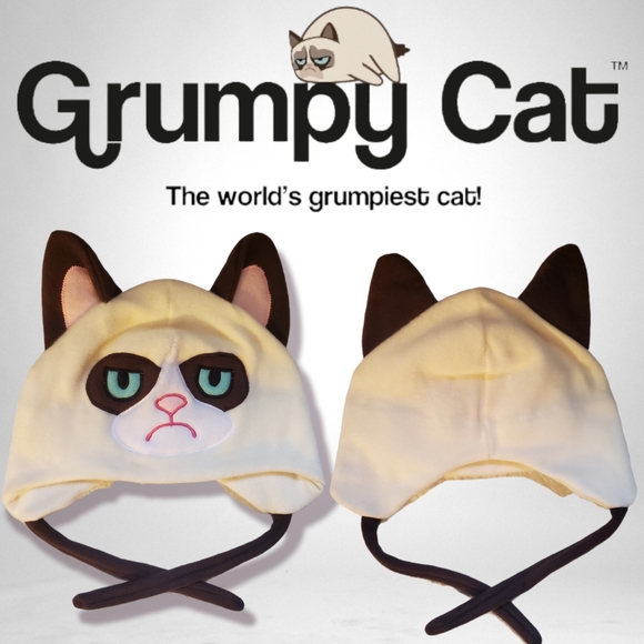 Grumpy Cat Other - Grumpy Cat Winter Hat